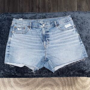 Light Blue Boyfriend Shorts